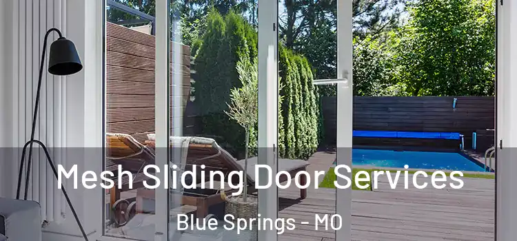 Mesh Sliding Door Services Blue Springs - MO