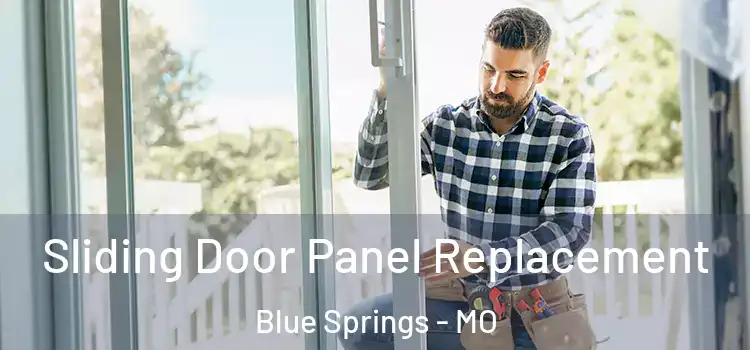  Sliding Door Panel Replacement Blue Springs - MO